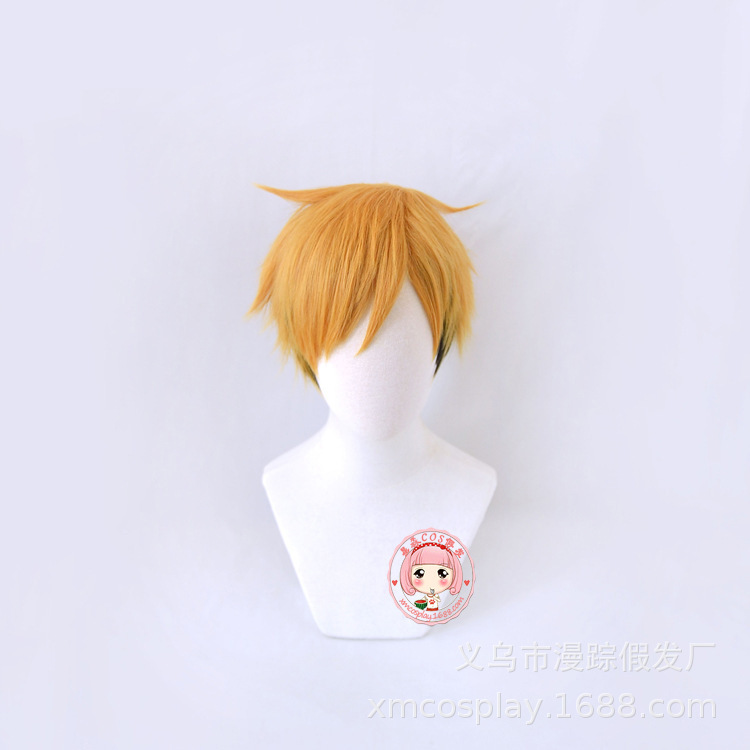 Volleyball Children's Palace double cosplay wig high temperature silk wholesale layered men's Daily