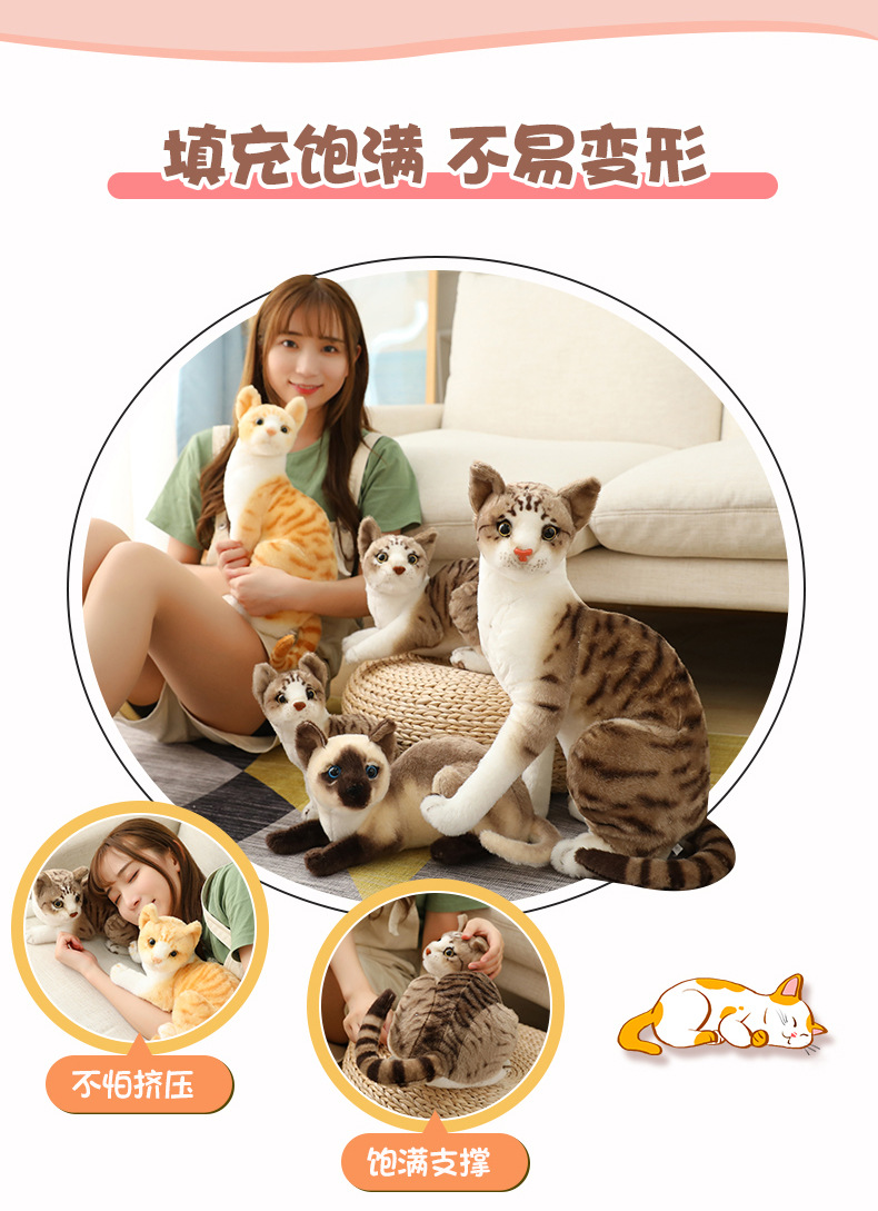 仿真猫 (5).jpg