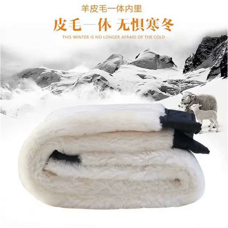 微信图片_20200904223815.jpg