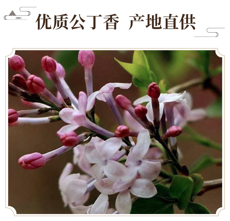 Dried Clove Buds Gong Ding Xiang Whole Spice Culinary Herb 1 Jin 500g key features
