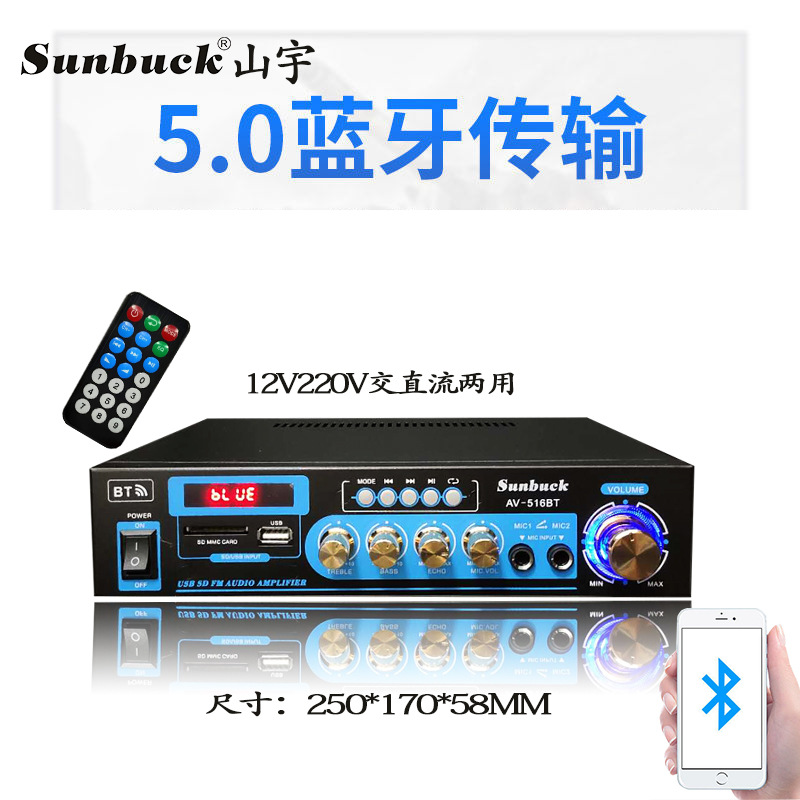 厂家直销家用车载迷你小功放音响蓝牙插卡收音12v220v功放机山宇