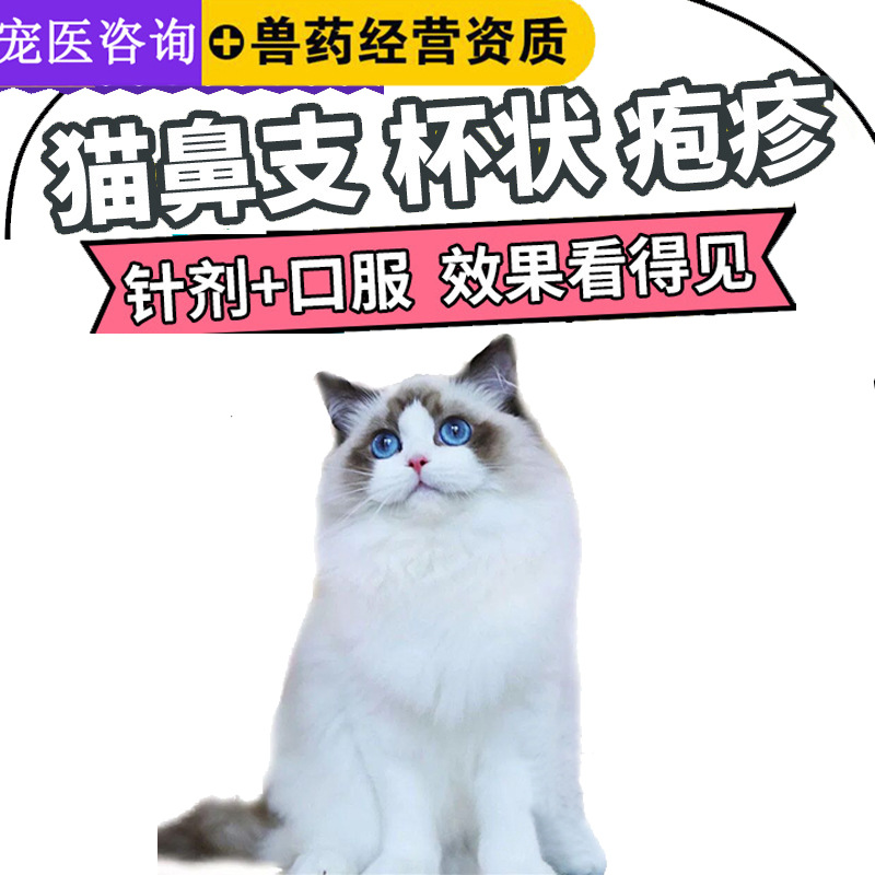 猫鼻支套餐小猫咪感冒流鼻涕鼻塞喷嚏疱疹杯状猫眼肿结膜炎去泪痕|ru