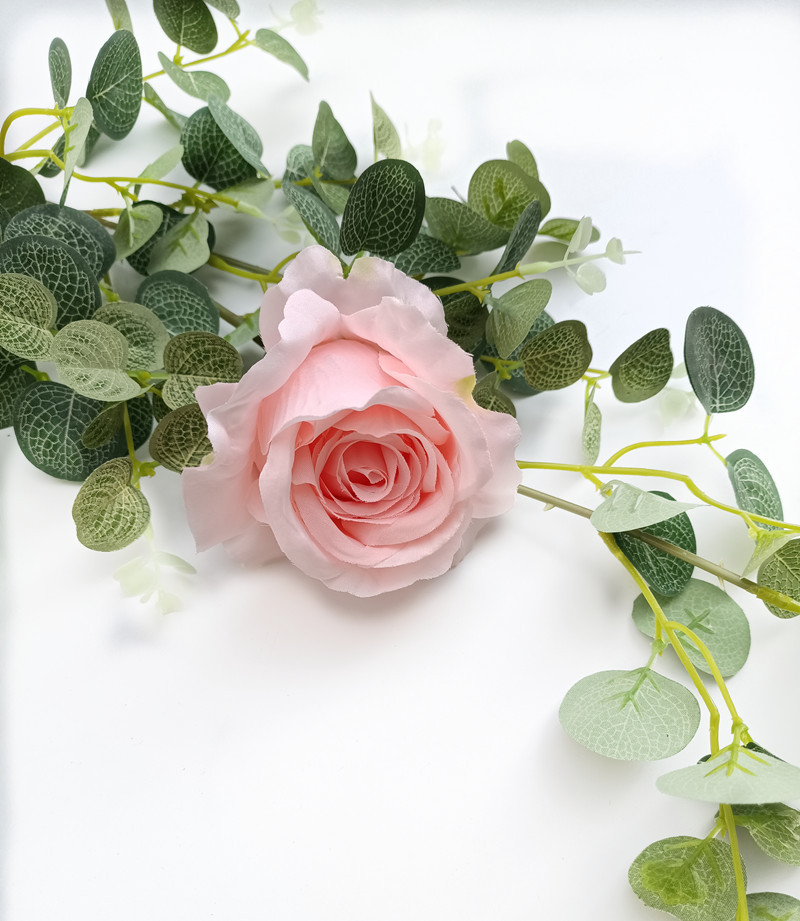 微信图片_20200517171144_副本