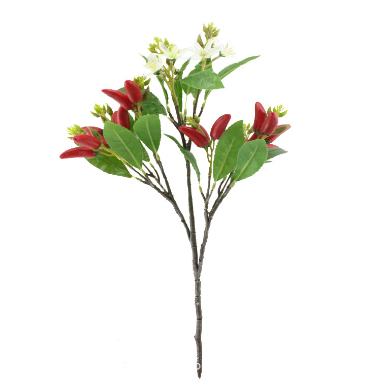 XRG-015 小米辣3叉枝18叶53厘米1.jpg