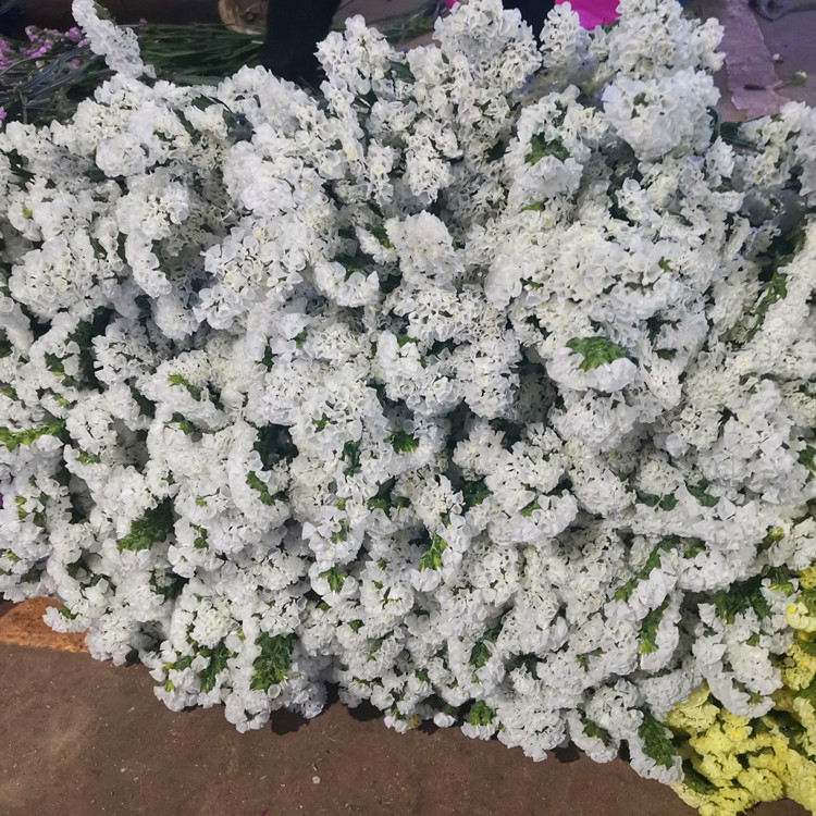 微信图片_20200622103121_副本