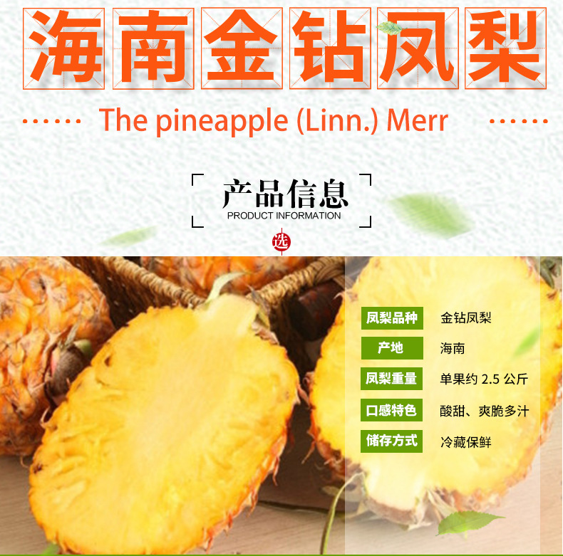 凤梨_02.jpg