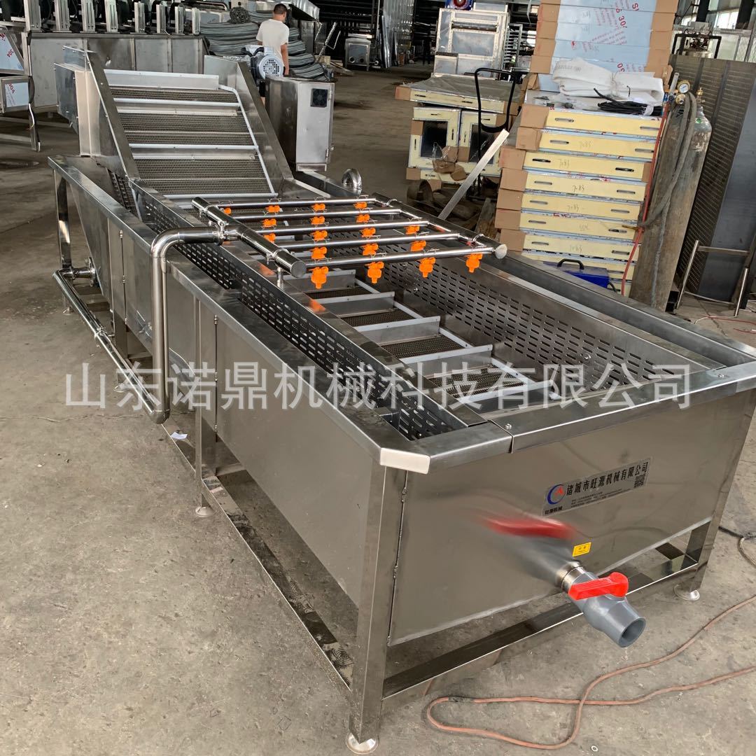 蘑菇清洗设备 喷淋式气泡清洗机 不锈钢洗菜机厂家 诺鼎机械