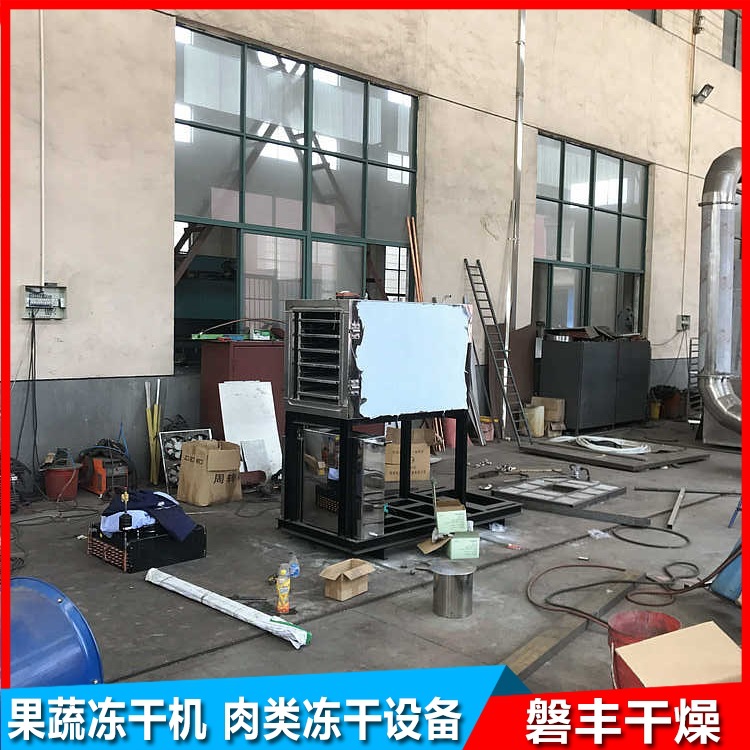药材冷冻干燥机 水果冻干设备 真空冷冻干燥机 一年质保 终身维护
