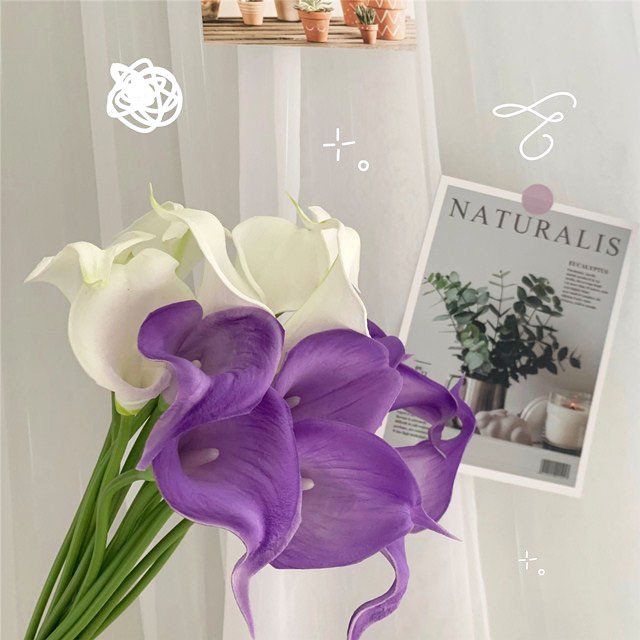 IMG_1913(20200525-130702)_wps图