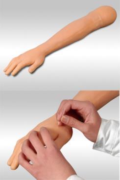 手臂针刺训练模型（隐性标记穴位）