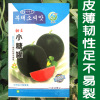 Gift Watermelon Seeds Spring Four Seasons Fruit Seed Sweet King Little Sugar Bar Morcle Seeds wholesale Vegetable Seed Company