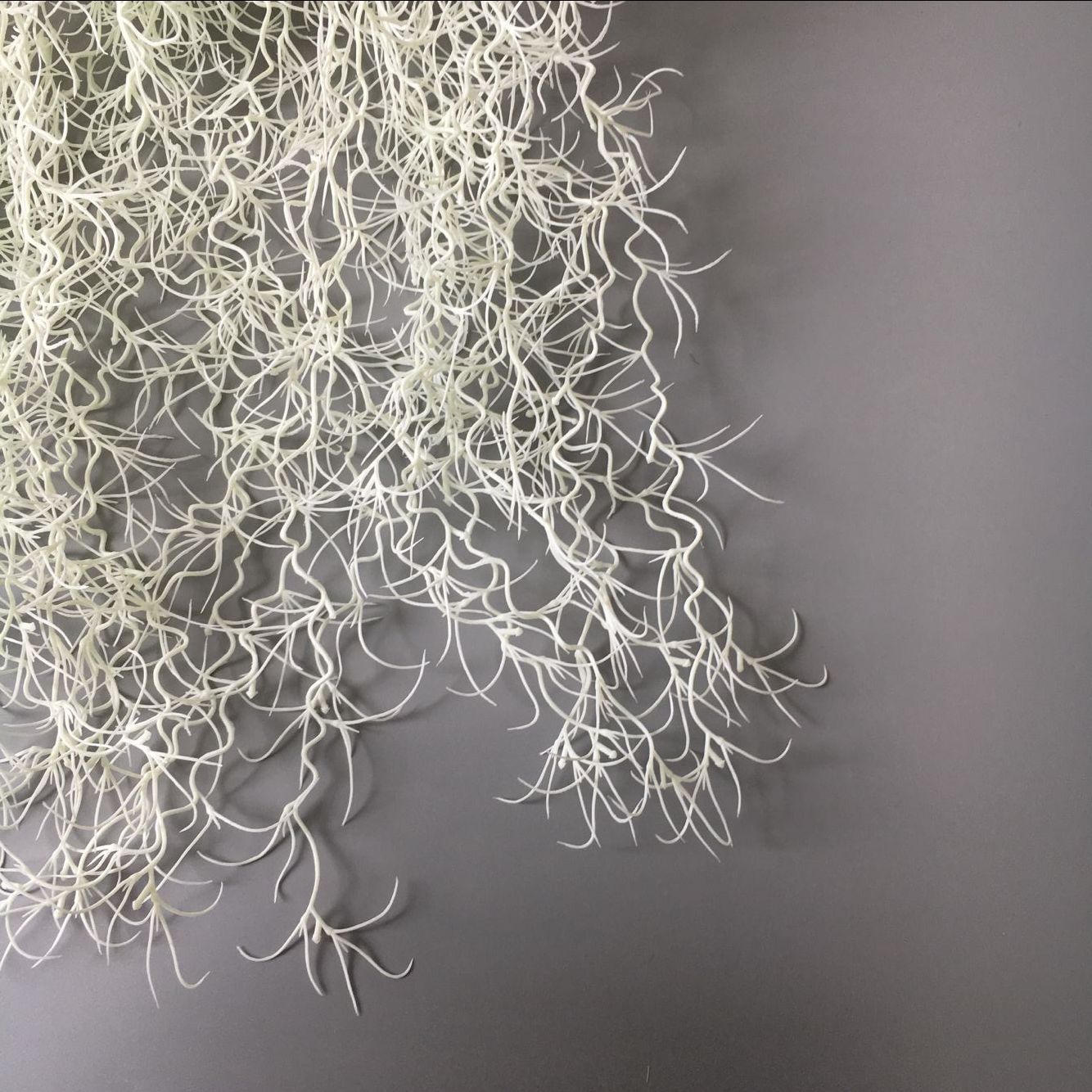 AB3EB83AF52911947250381677694D