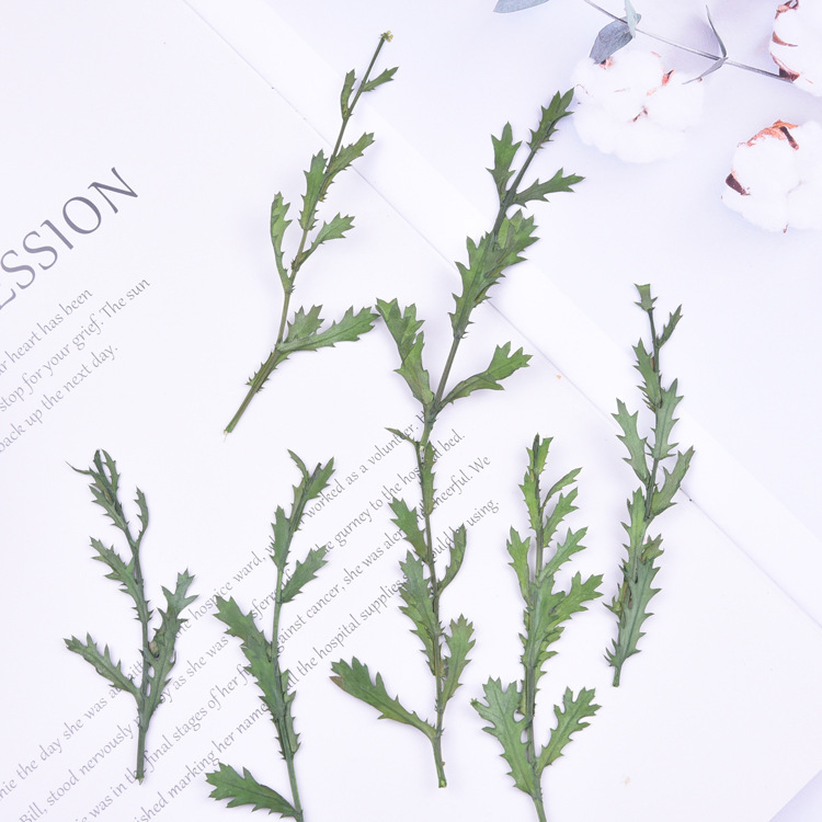 Crystal chrysanthemum branch Hay embossed diy drop glue dried flower mobile phone case bookmark flower painting kindergarten handmade table lamp candle