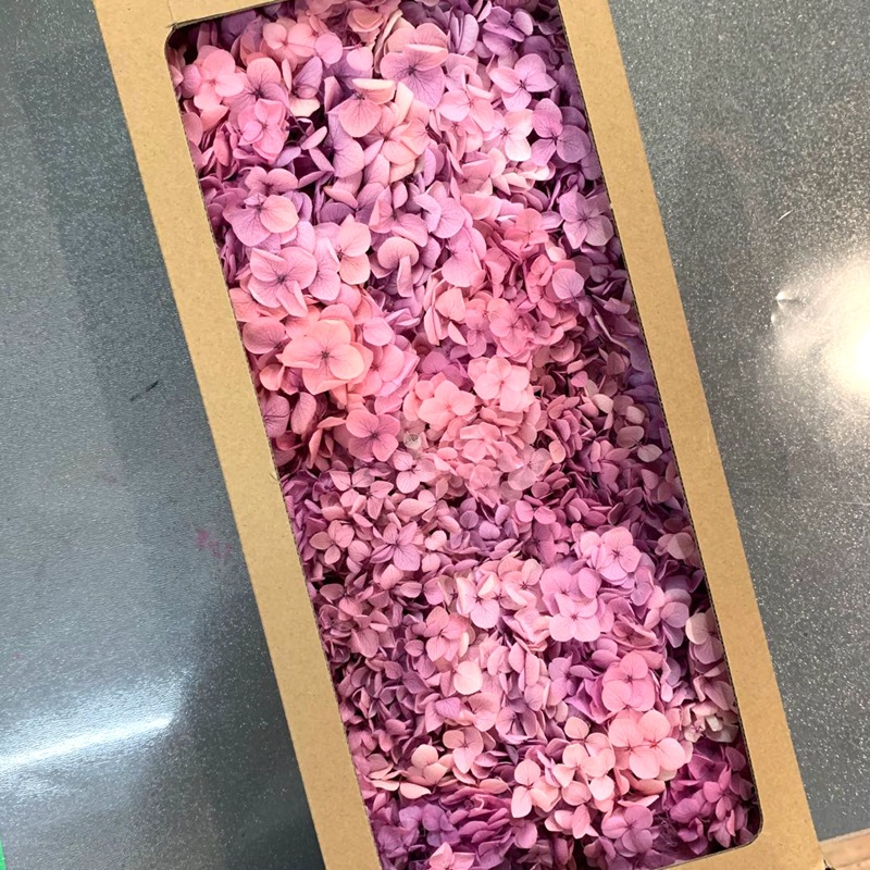 微信图片_20200702163806