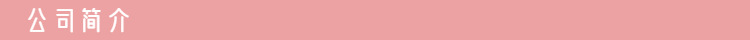 导航条 公司简介