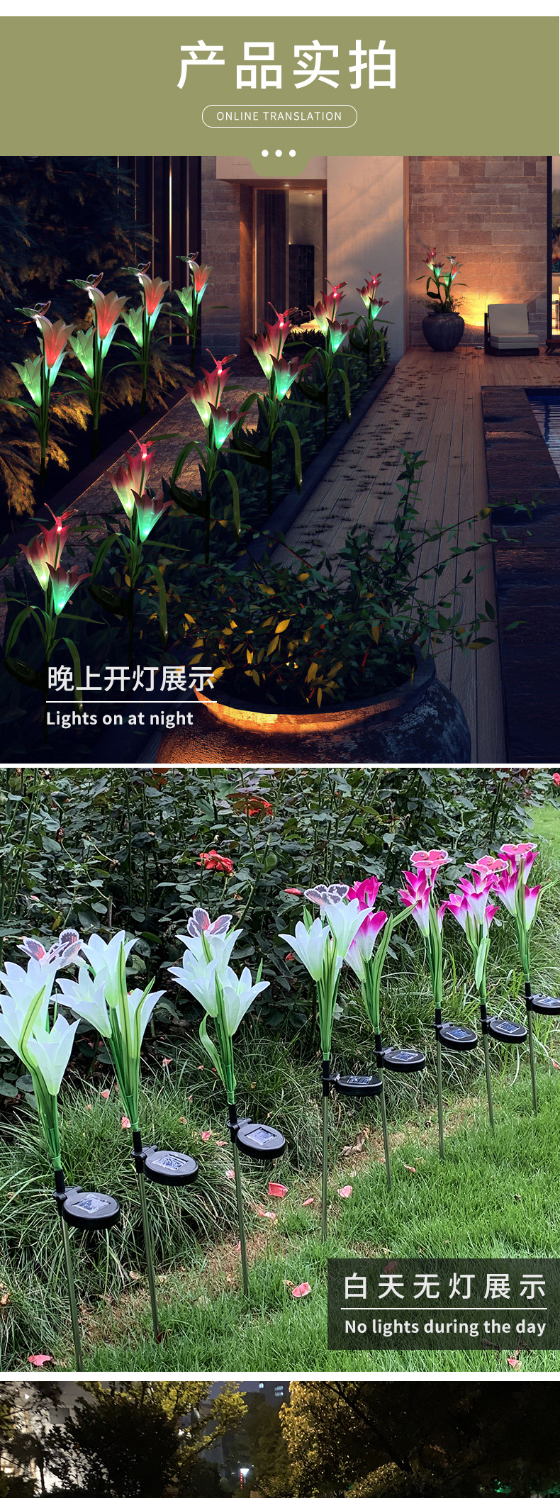 蝴蝶百合花灯（孙良）_07