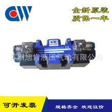 CHIA WANGҺyDS-3C10-04G-30