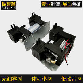 厂价直销 真空泵 DC12V 微型气泵 美容仪器专用 小型 双头负压泵