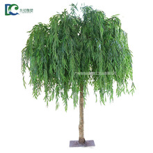 ������٘�����b������ֲ������Ƶ��d������ľ���