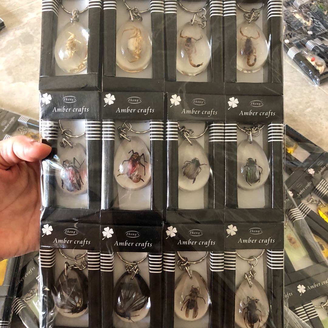 d729c1b4c53bb74ddde5008d792b1a