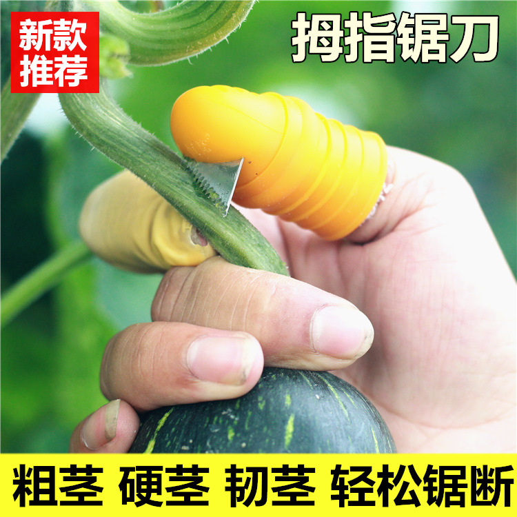 拇指锯刀采摘器拇指刀硅胶园艺掐尖摘菜摘瓜摘水果摘果器