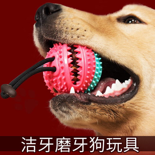 Pet Supplies Amazon Dog Toy Food Ball Rubber Teething Resistant Bite Bell Sound Ball Manufacturer
