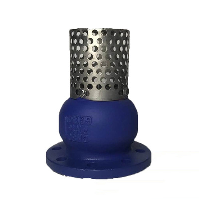 底阀 铸铁底阀 德标美标英标铸铁底阀 带法兰铸铁底阀|ru