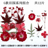 PRESSED FLOWER material bag dry flower pressure flower field combination of flower material bag and leaves paste painting