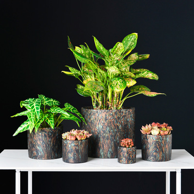 潮州源頭廠家批發室內桌面盆栽水泥透氣圓型盆發財樹花盆泡沫包裝