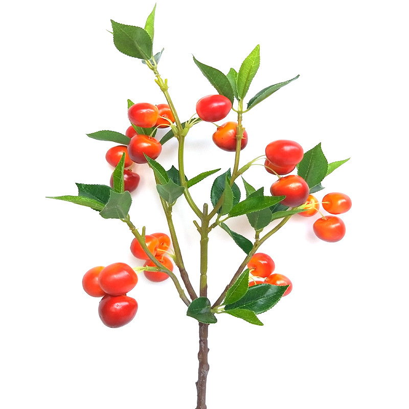 XRG-024 小5叉大樱桃0.5米  (4).jpg
