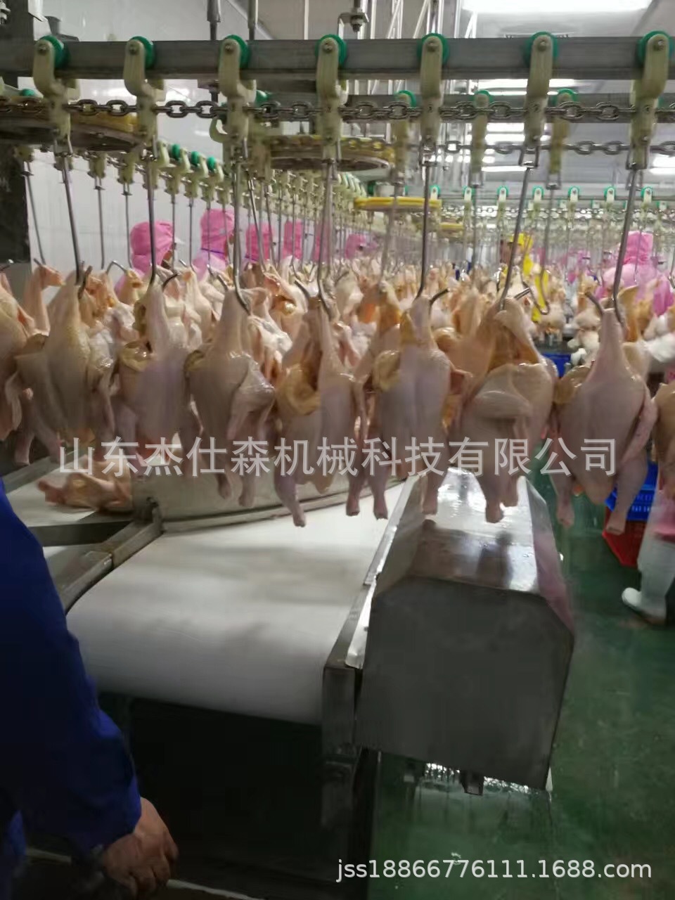 全自动家禽屠宰线乳鸽肉鸭宰杀流水线成套设备连续式杀鸡的机器-阿里巴巴