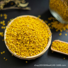 8月桂花 8月桂花品牌 图片 价格 8月桂花批发 阿里巴巴