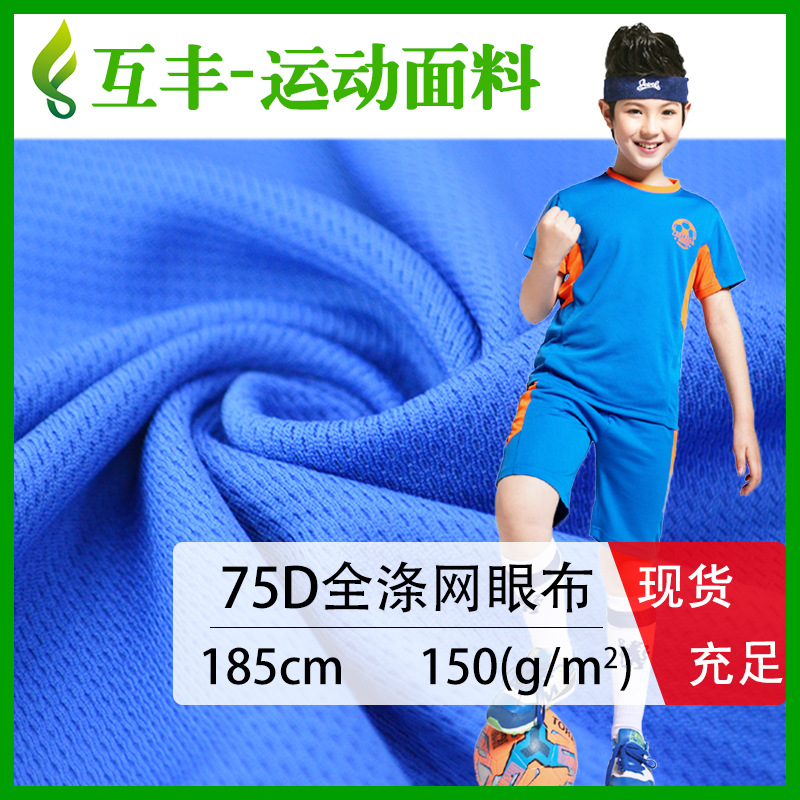 现货75D全涤鸟眼布 三级鸟眼布面料 运动服面料 针织涤纶鸟眼布