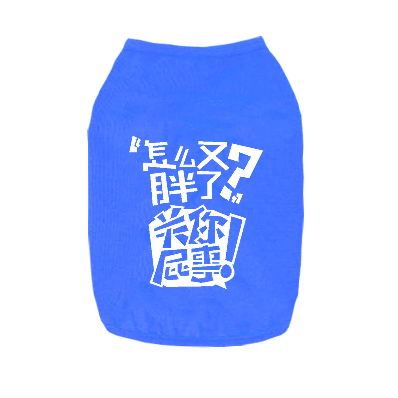 又胖了蓝.jpg