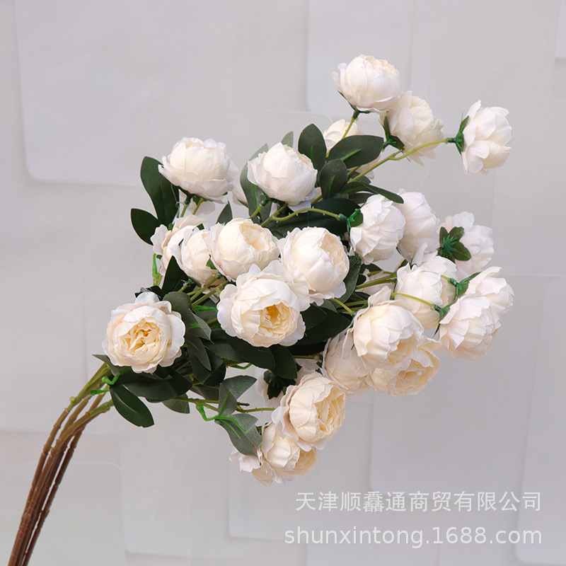 7头玲珑牡丹浅香槟.jpg