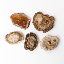 木化石摆件 木化石摆件品牌 图片 价格 木化石摆件批发 阿里巴巴