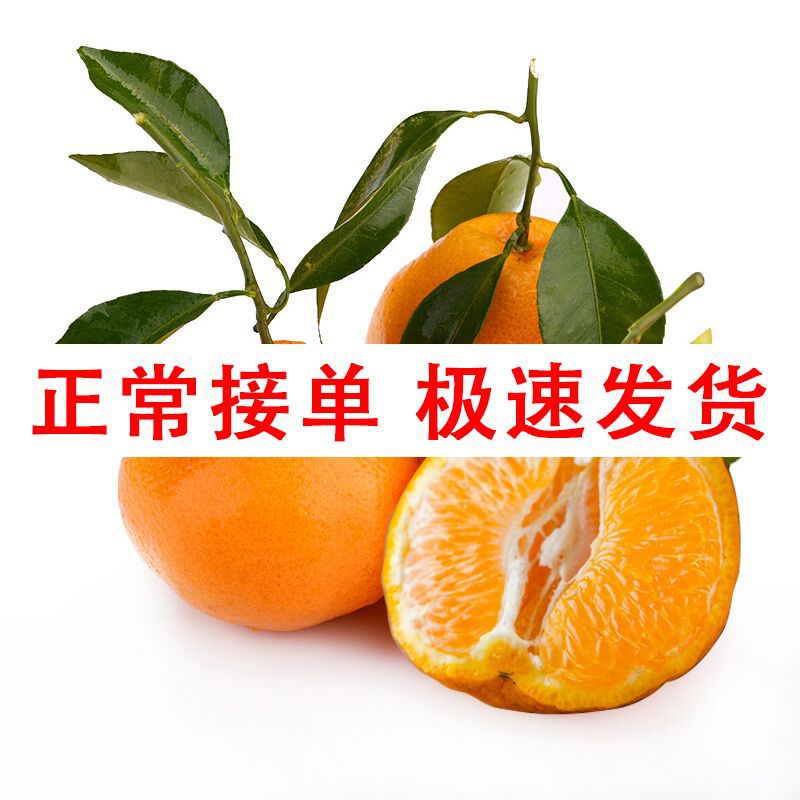 Orthodox school Sichuan 58 Unknown fresh fruit Deliver goods