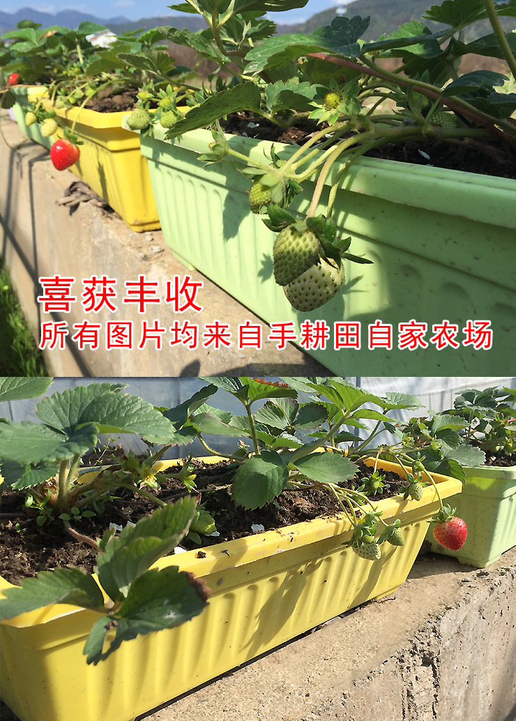 TB2d6CCc8NkpuFjy0FaXXbRCVXa_!!