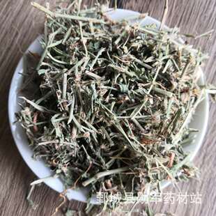 ���l��ș�� �q�� �q� �q�� ��؛����ă�