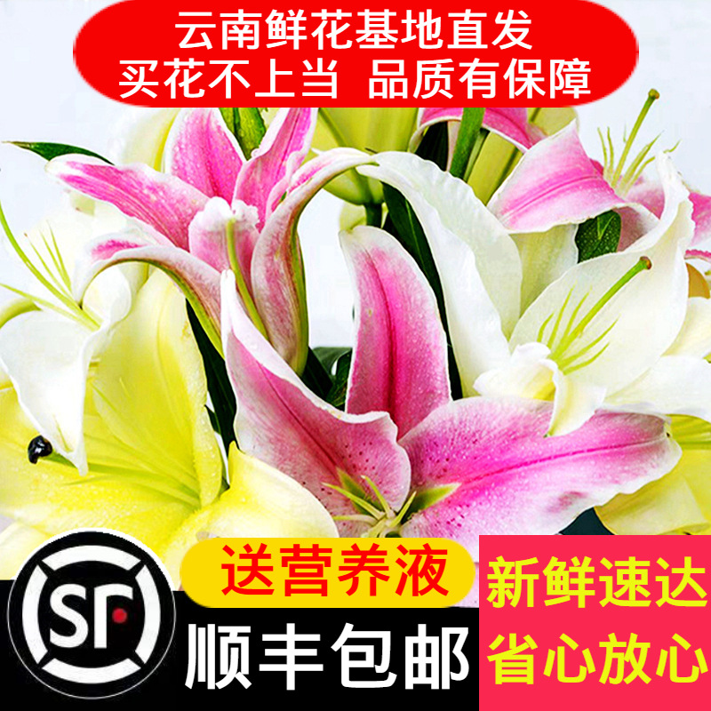 [Shun Feng flowers]Lily perfume family Bouquet of flowers Florist flower arrangement Yunnan Kunming flower