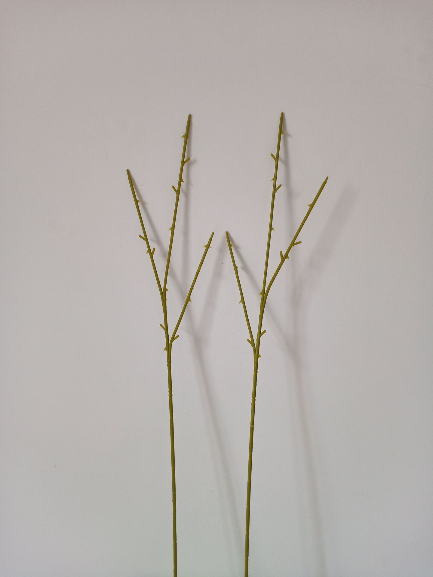 Saved PicturesIMG2020051514470