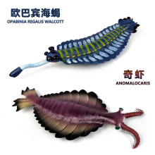 ��ͯ�����h��ʷǰ����ģ���o�B�������z�W���e��ϐ�����r��������