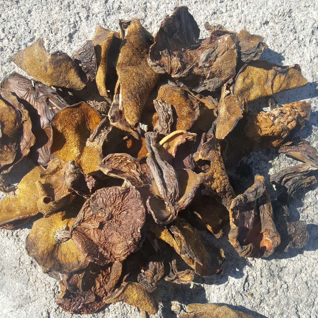大兴安岭东北特产新干货松蘑菇松菇粘团子松菇500g-阿里巴巴