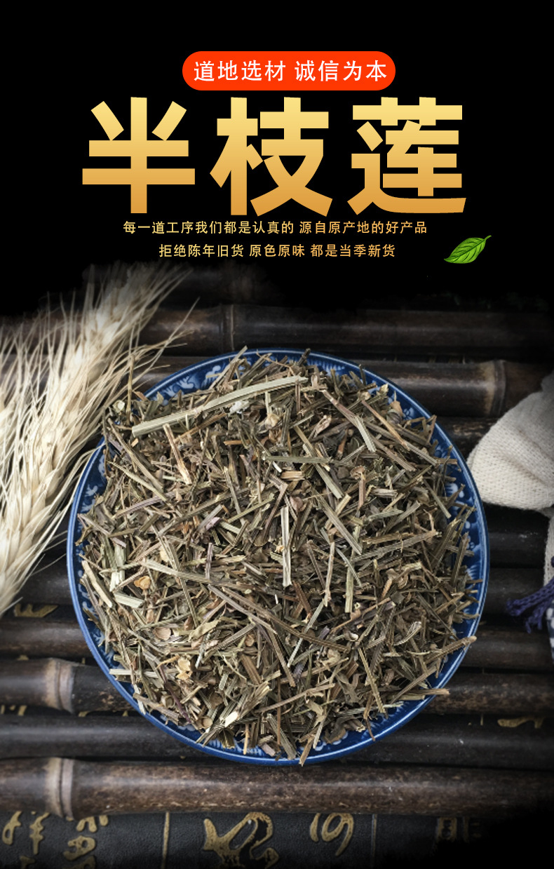 Dried Ban Zhi Lian Half Leaf Lotus Herb Bulk Loose Scutellaria barbata for Decoction and Tea 1 Jin key features