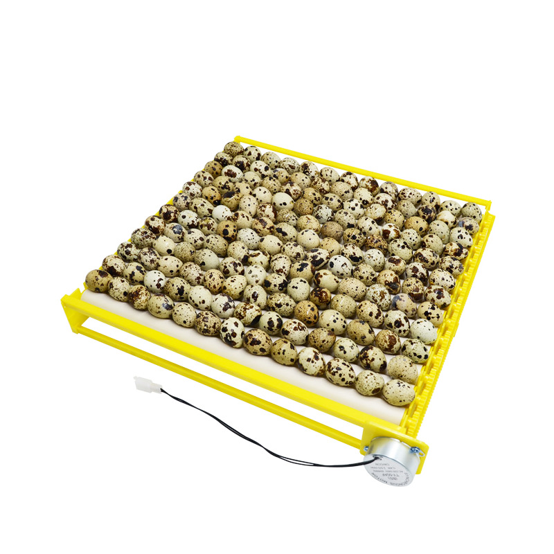Incubadora automática Placa de huevo 56 Placa de huevo combinación de motor 156 Placa de huevo placa incubadora Accesorios