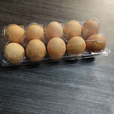 定做土鸡蛋包装盒4 6 8 10枚生鸡蛋托塑料装托一次性鸡蛋托现货