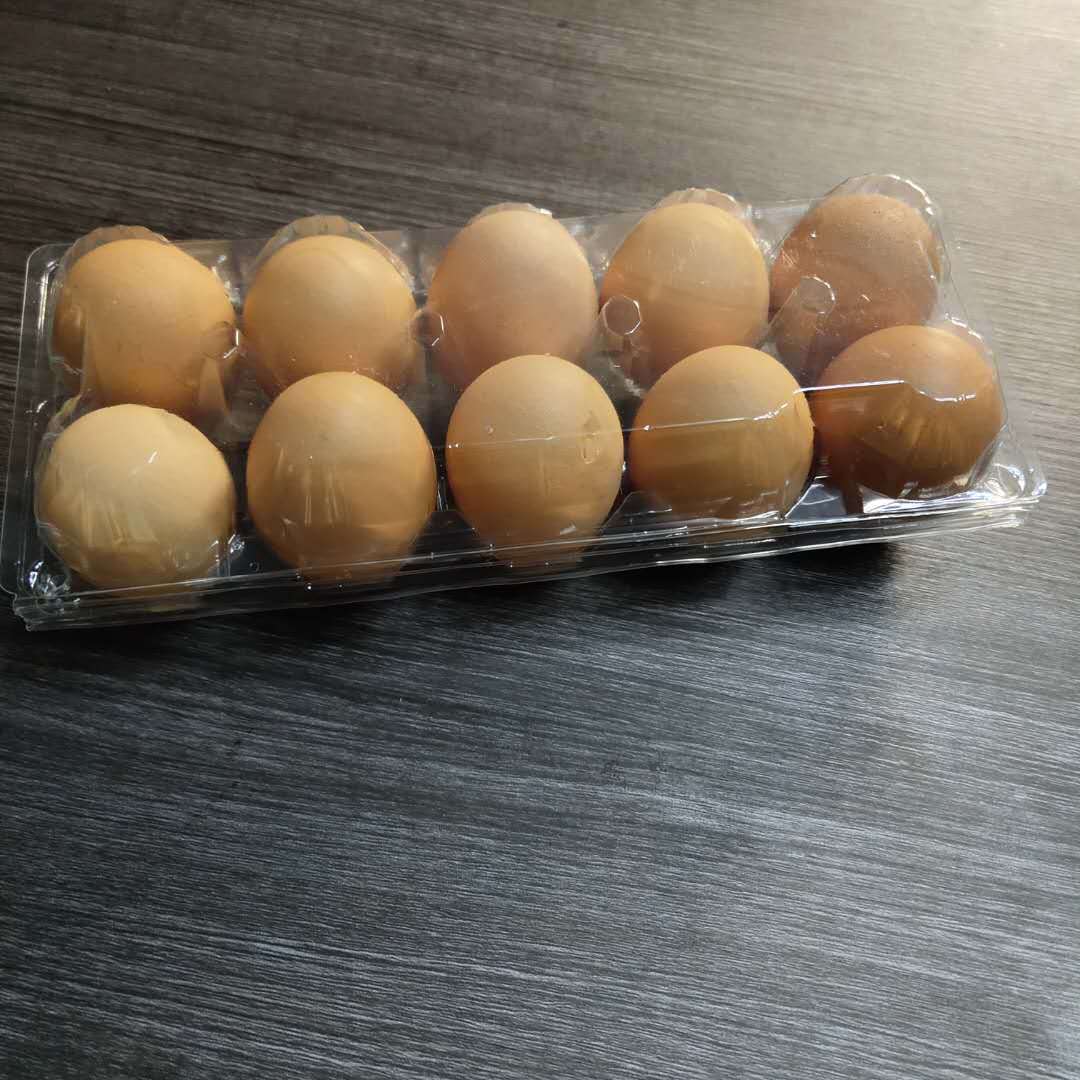 定做土鸡蛋包装盒4 6 8 10枚生鸡蛋托塑料装托一次性鸡蛋托现货