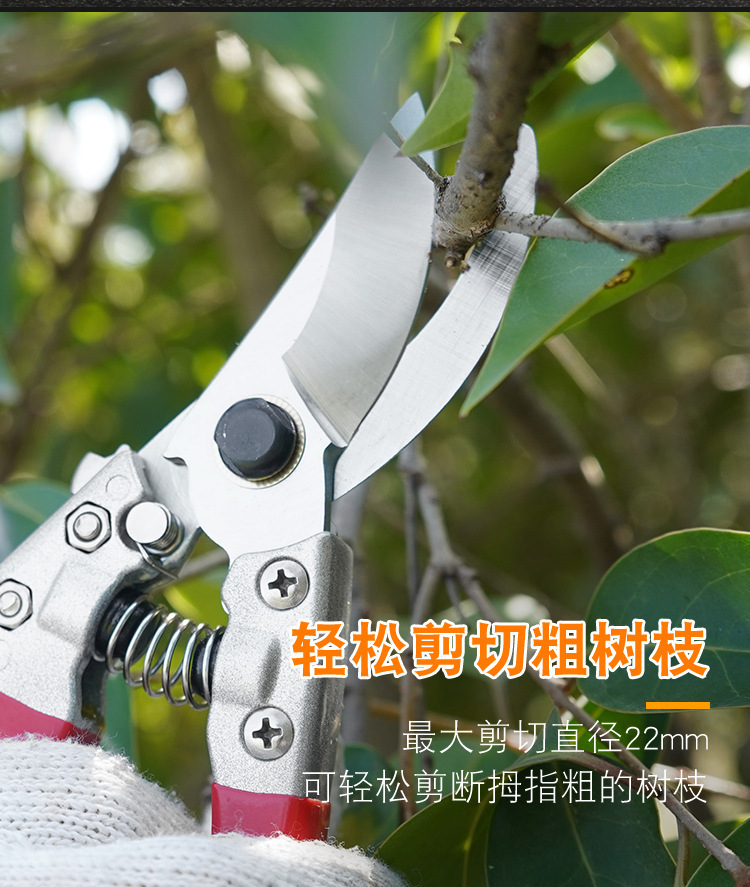 园艺省力修枝剪刀 弹簧修枝剪 50mm开口不锈钢修枝剪刀 园艺工具-阿里巴巴