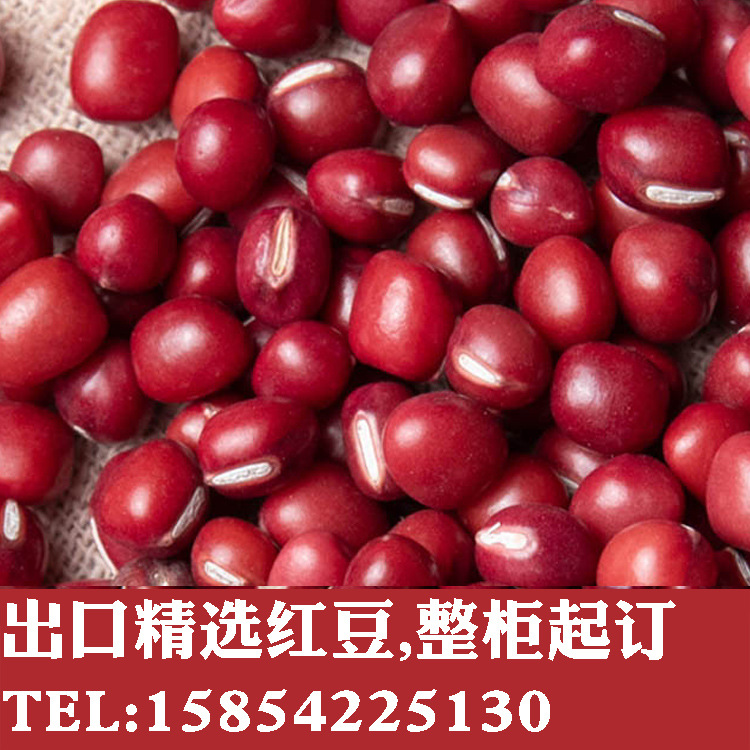 红豆2
