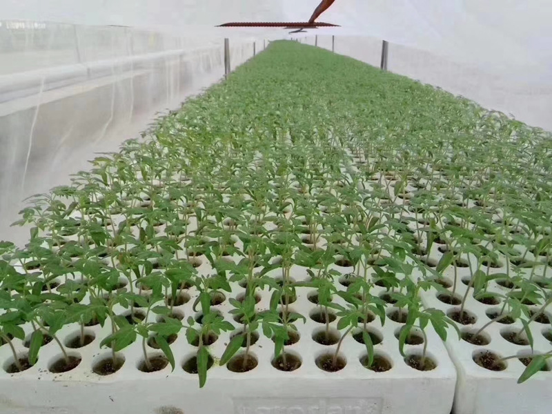 圆柱形岩棉塞效果图